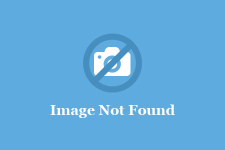 Students Take a look around college library